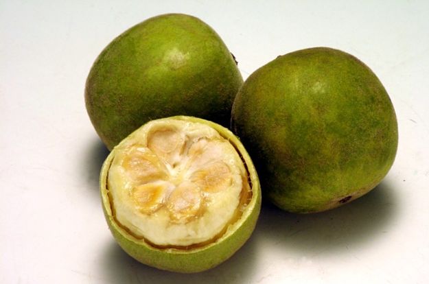 Natural Sweetener: Monk Fruit | 5 Fat-Burning Food Every Man Should Eat