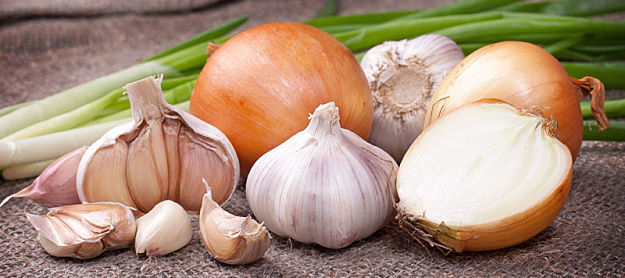 Microbiotic Food: Onions and Garlic | Fat-Burning Food Every Man Should Eat