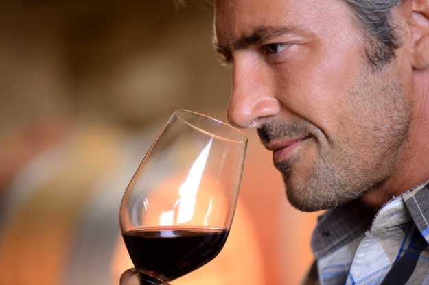Smell | Wine Tasting Tips | How To Taste Wine Like A Gentleman