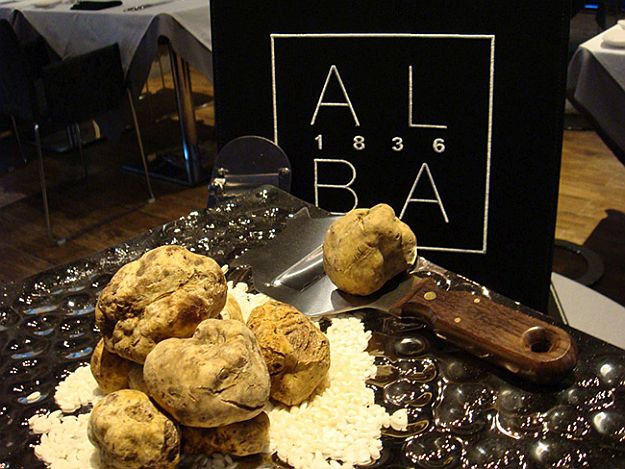 Italian White Alba Truffles | Insanely Expensive Luxury Food You Didn't Think Ever Existed