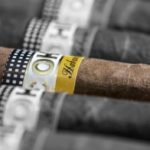 THE COMPLEX AND INTERESTING ORIGIN OF CIGARS